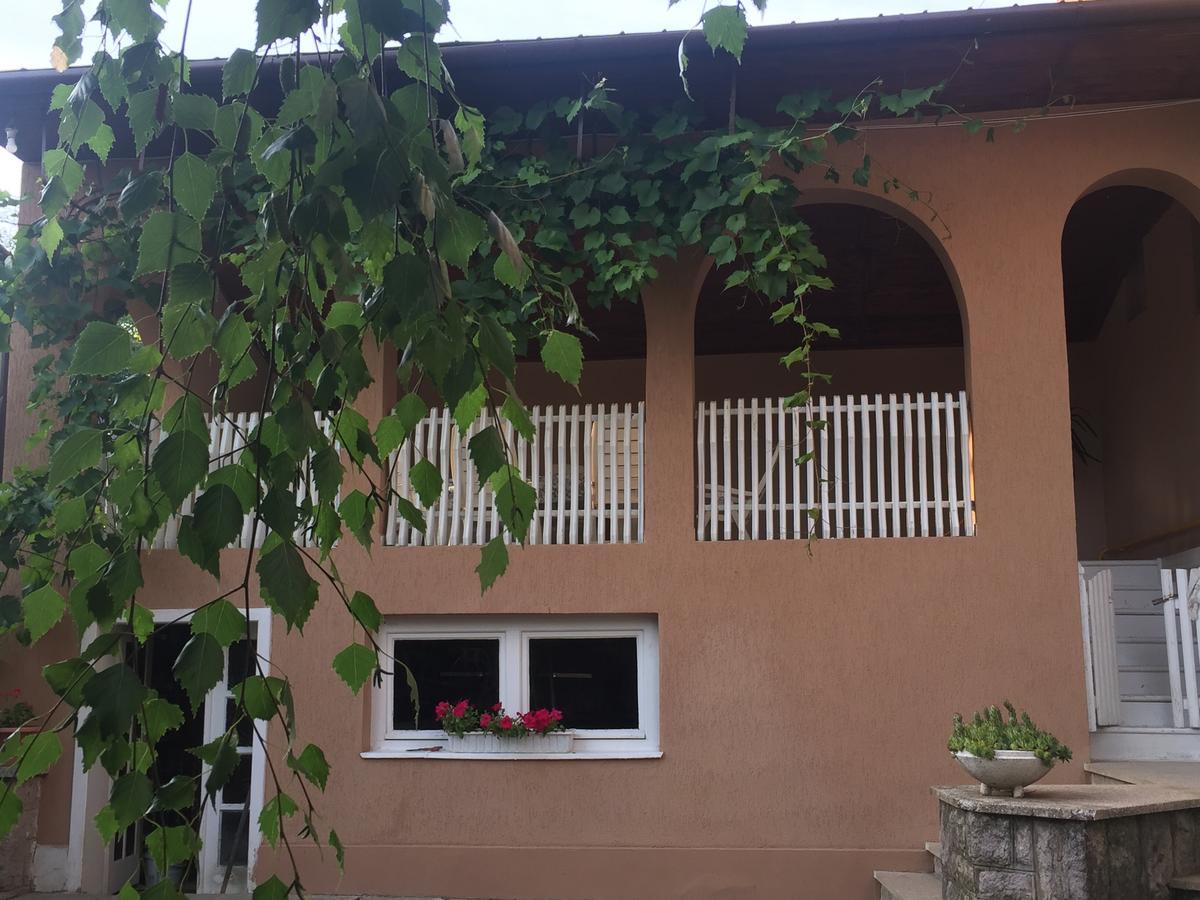 베레호베 Private House 아파트 외부 사진